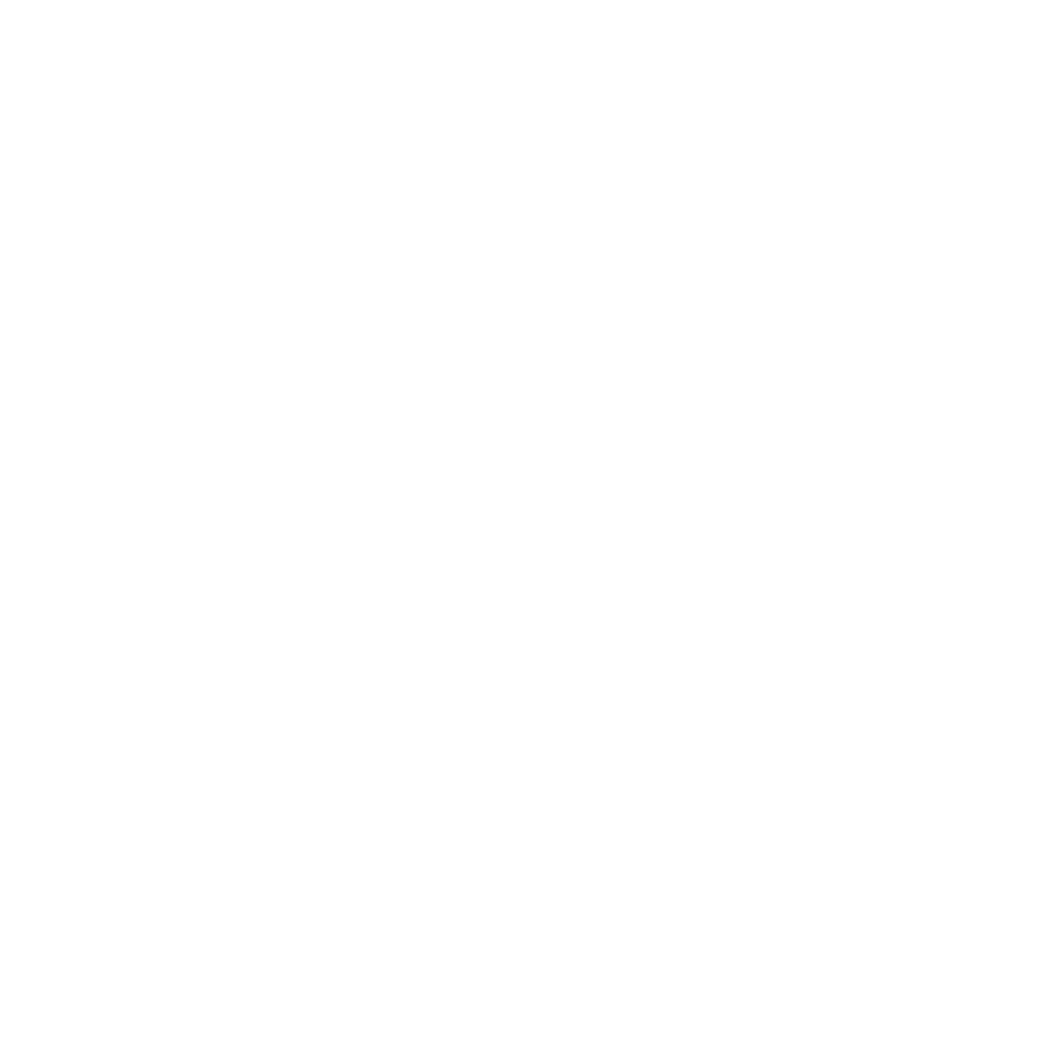 CCL Logo 1