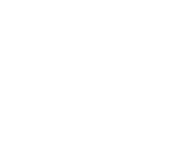 Primary Single Logo